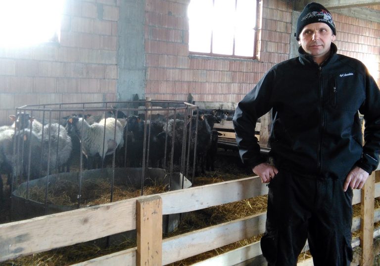 Beskid Sądecki: dopłacą bacom za wypasanie owiec