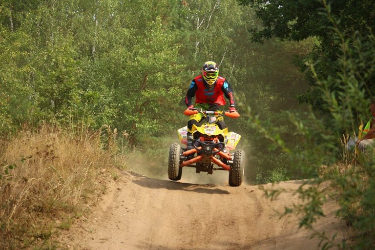 Quady straszą zwierzęta. Leśnicy straszą karami i fotopułapkami.