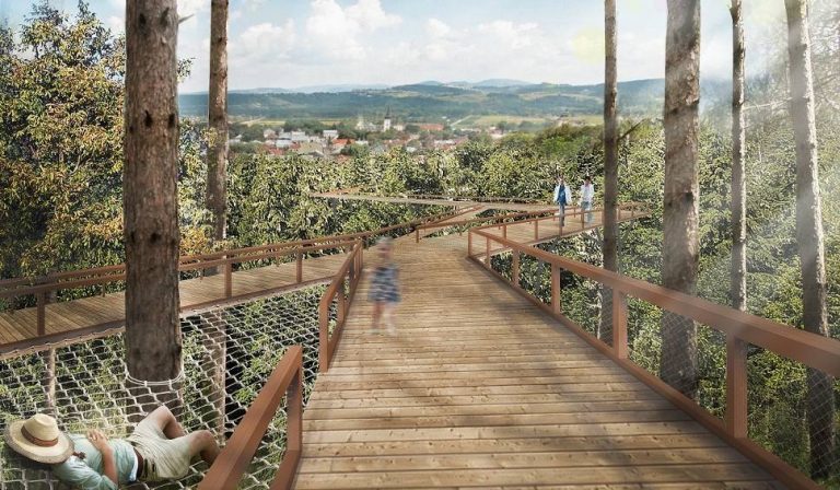 Stary Sącz chce zbudować ścieżkę w koronach drzew