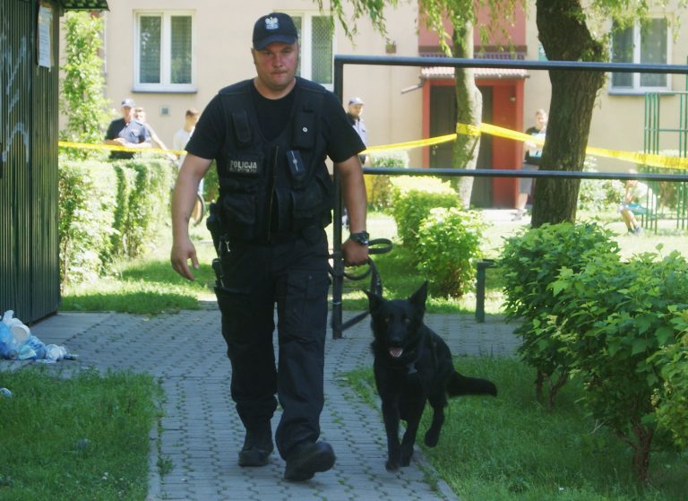 Nowy Sącz, Barskie: Harry nie siadł, bomby nie ma