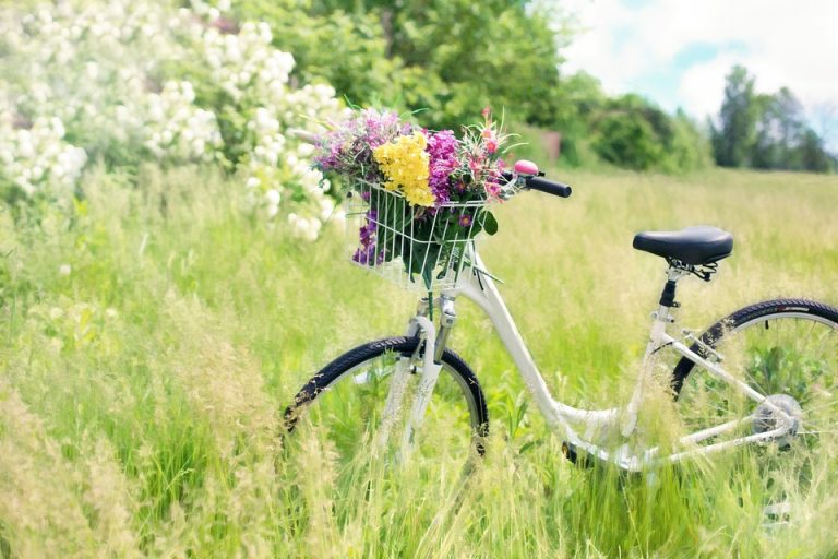 Stary Sącz połączą z Nowym przed wakacjami 2018! Czekamy na EuroVelo!