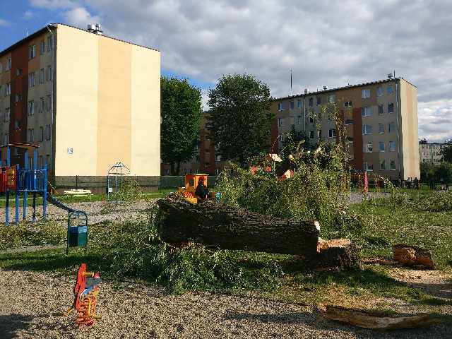 Nowy Sącz, osiedle Milenium: drzewo runęło na plac zabaw