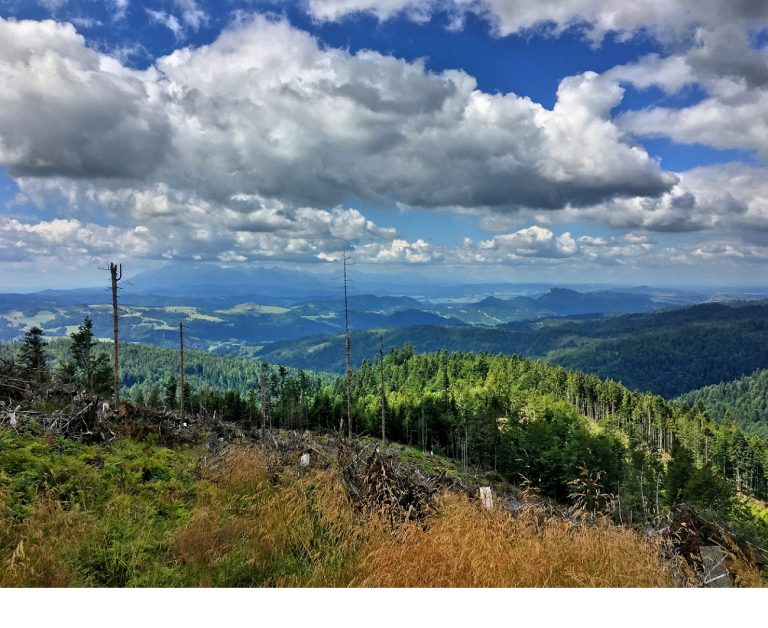 Wielki Rogacz z widokiem na Tatry
