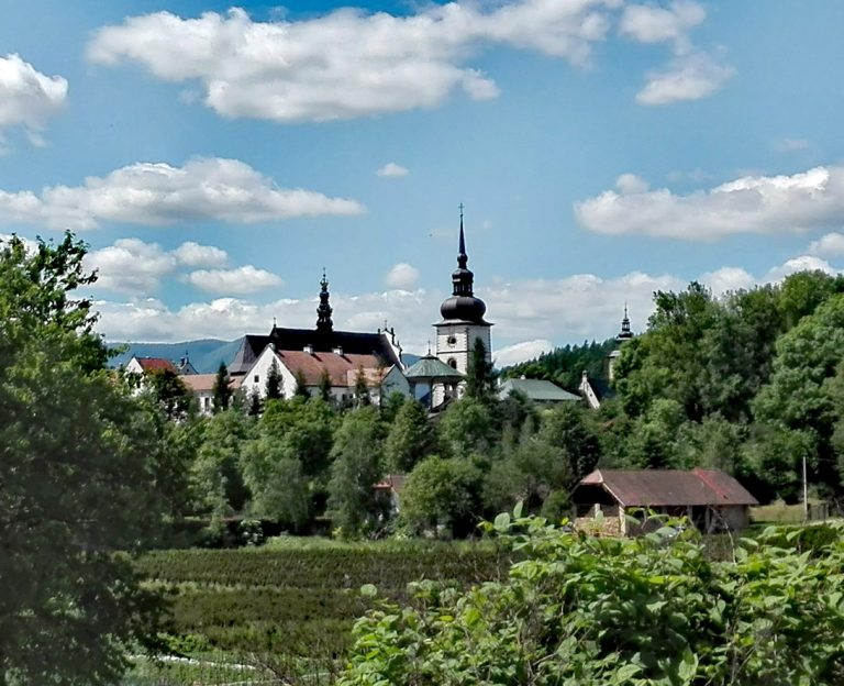 Kierunek: Brzezna!