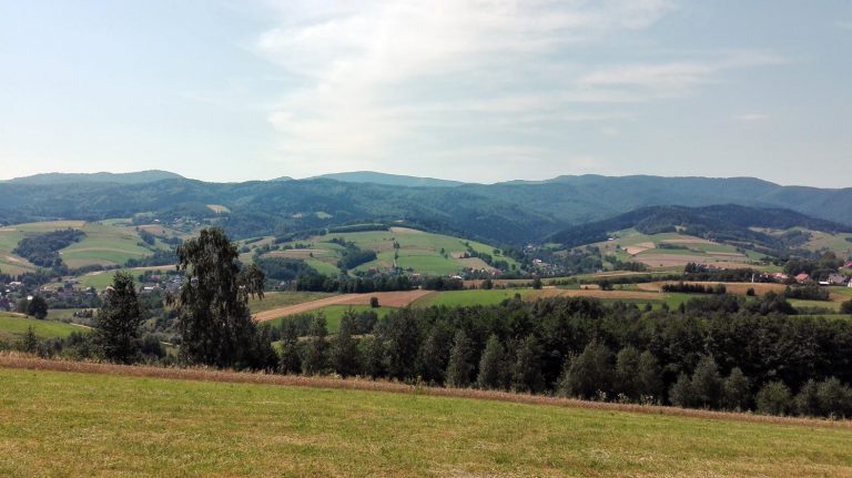 Pętelka „trzynastka”