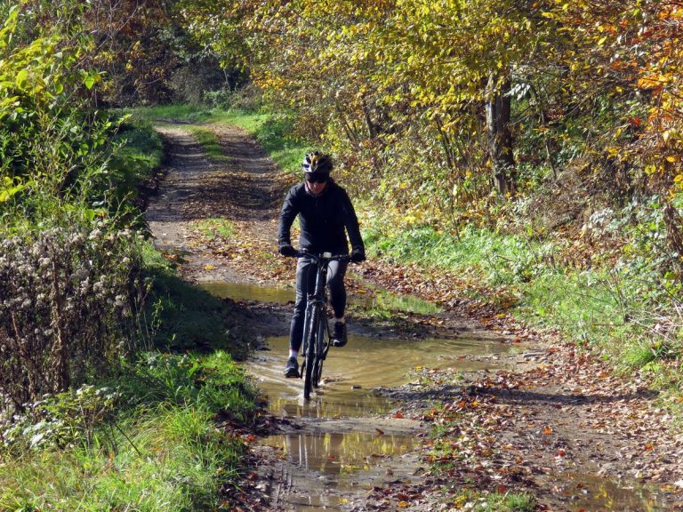 Sześć mostów nad Popradem czyli szlakiem wód mineralnych