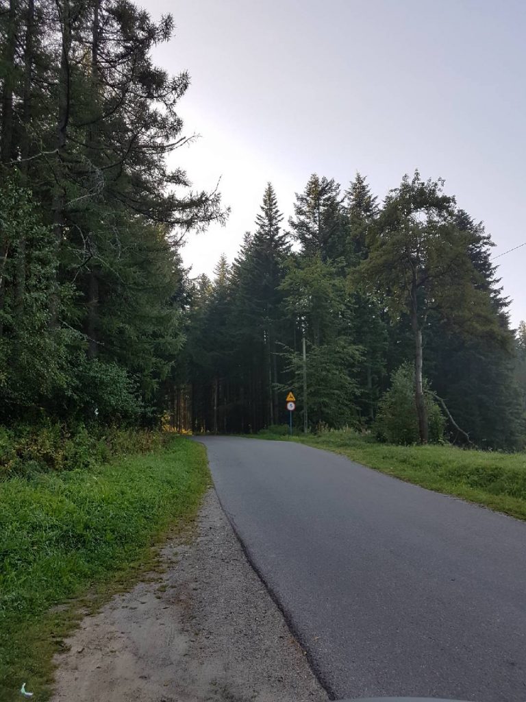 Kierunek: Dubne