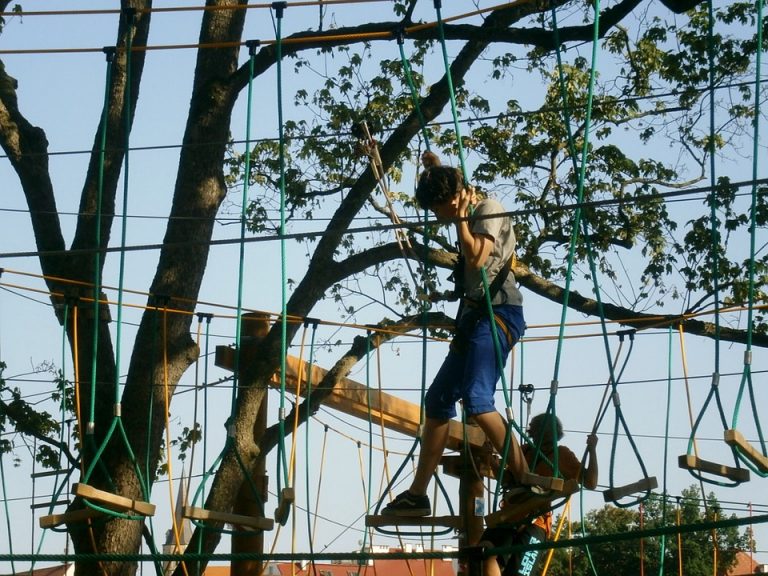 Stary Sącz: kradzież w Parku Linowym. Złodzieje wynieśli sprzęt wspinaczkowy