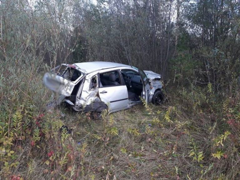Podegrodzie: Ford Fiesta wypadł z drogi