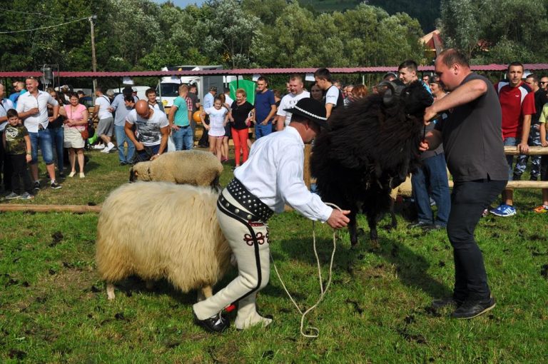 Ocean ludzi w Nawojowej, czyli Agropromocja 2017 już za nami
