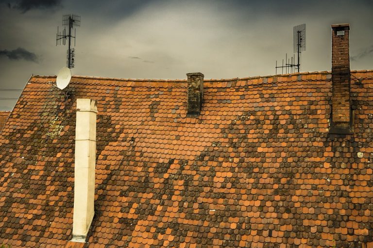 Korzenna: możesz dostać nawet 10 tysięcy dofinansowania, jeśli chcesz być „eko”