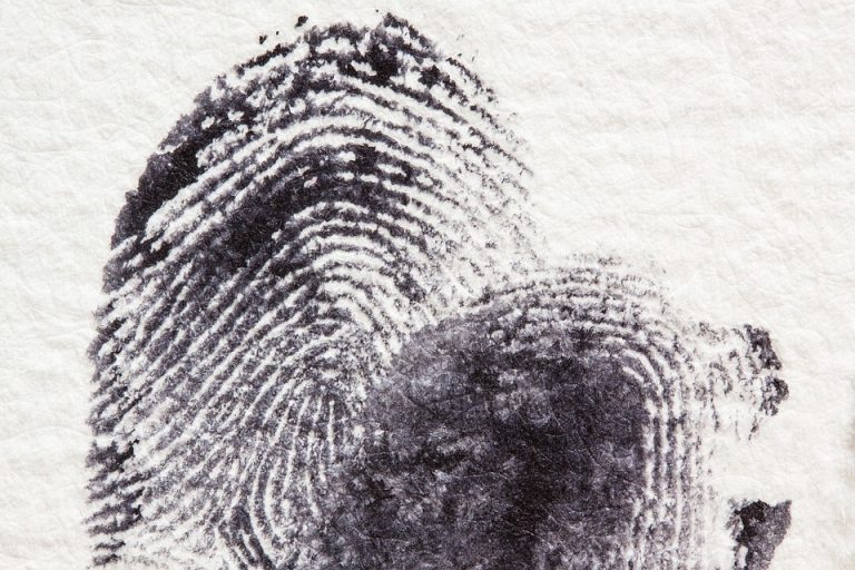 Gołkowice, Mostki: porwali, uwięzili, torturowali, zabili. Są zarzuty dla sprawców