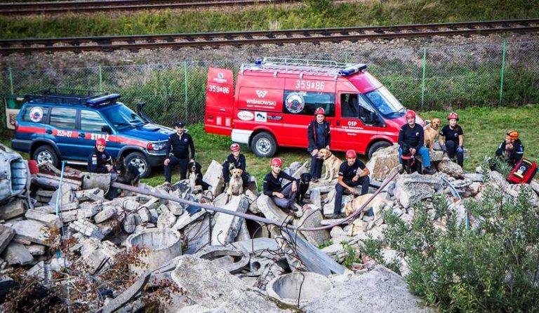 Psy sądeckich strażków otrzymały nowe… buty