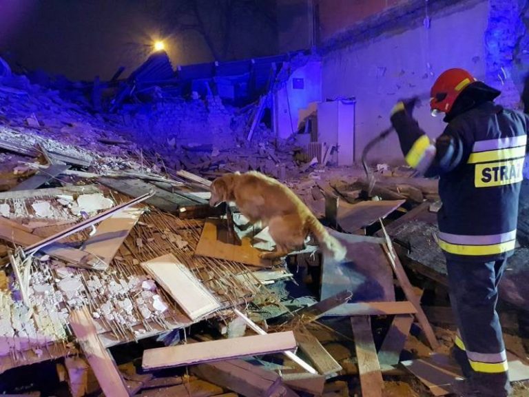Sądeccy strażacy przeszukiwali zawaloną kamienicę w Sosnowcu. Pod gruzami zginęła kobieta