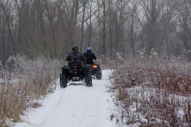 Policja zatrzymała włamywacza, który kradł quady, rowery i elektronarzędzia. Mieszkał w Łabowej