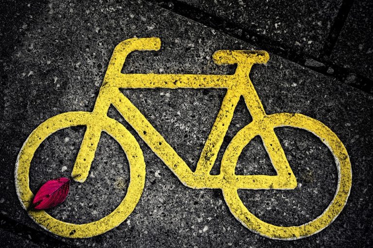 Krynica Zdrój – Muszyna: 12 kilometrów ścieżki rowerowej już w tym roku