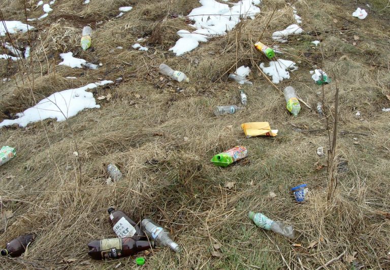 Nad Kamienicą spod śniegu wyjrzały wstydliwe „pierwiosnki”