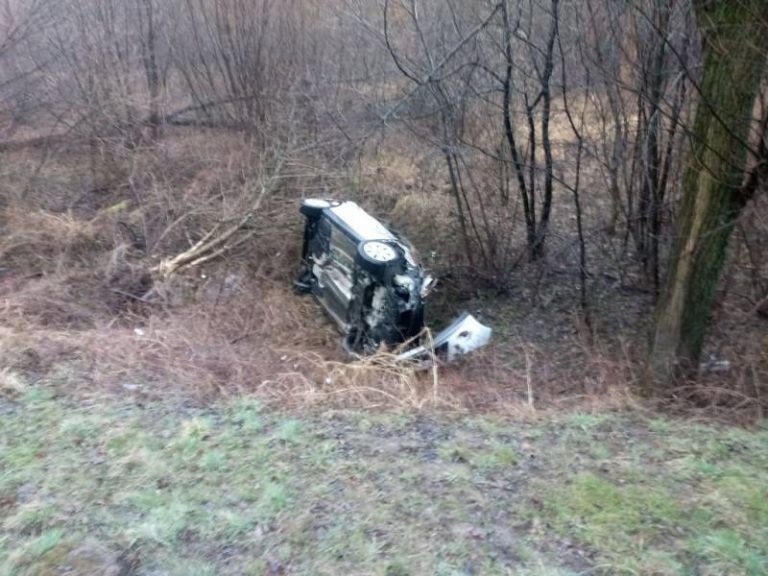 Witowice Dolne: samochód wypadł z drogi