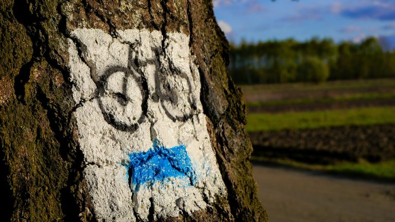 Nowy Sącz: powstanie pętla biegowo-rowerowa wzdłuż Kamienicy