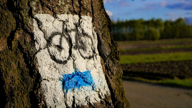 Nowy Sącz: powstanie pętla biegowo-rowerowa wzdłuż Kamienicy