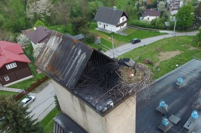 Piwniczna, Uwrocie: chcą zniszczyć gniazdo z jajami bociana? Ludzie spieszą na pomoc