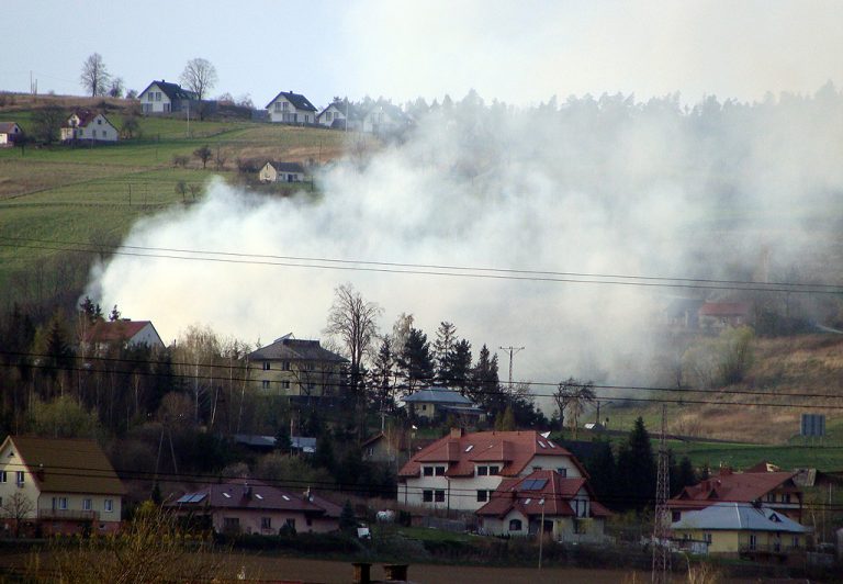 Ludzie! Miejcie litość dla siebie i przyrody