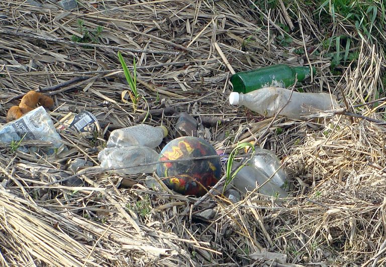 Chełmiec: śmieci, śmieci, śmieci…