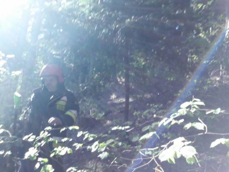 Chełmiec: płonął las, strażacy nie mogli dojechać do pożaru, biegli kilkaset metrów z łopatami i tłumicami