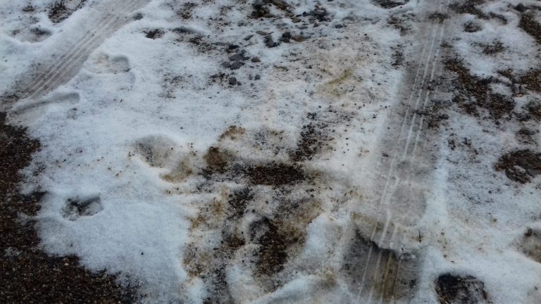 Przez Sądecczyznę przeszła gwałtowna burza. Śnieg w maju? To grad!