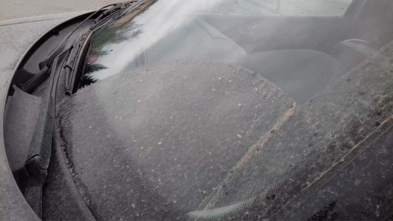 Myjnie oblężone, samochody znów pokrył żółty pył. Tym razem sprawca nie pochodzi z dalekiej Afryki [FILM]