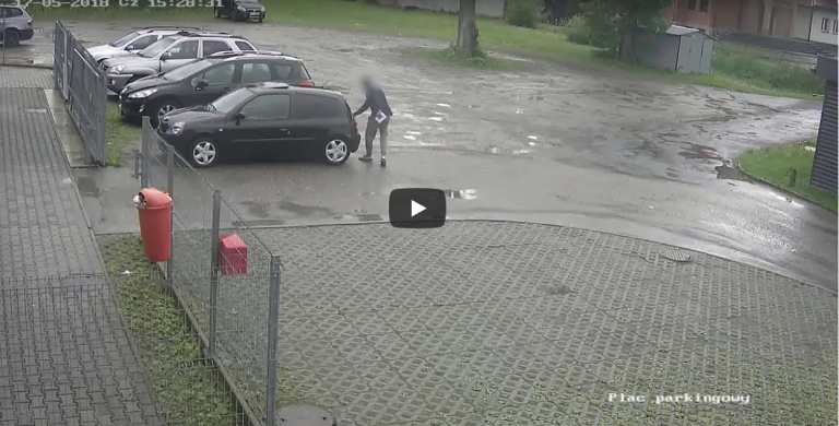 Brutalnie potraktował psa, wszystko uwieczniły kamery. Szuka go Policja [WIDEO]