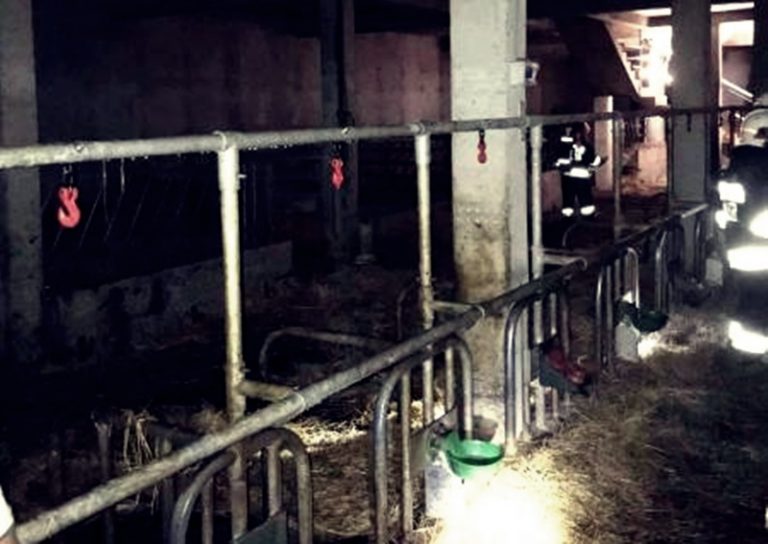 50 zwierząt i dwie osoby w płonącym budynku