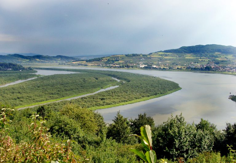 Jezioro Rożnowskie… znika