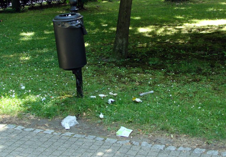 Zasłyszane: Nowy Sącz jak disco polo