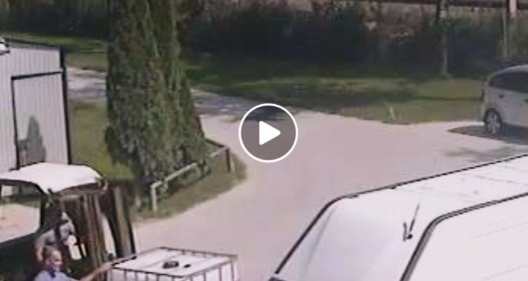Egzaminator uciekł z pojazdu, w nią uderzył pociąg [FILM]