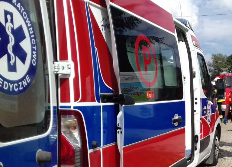 Bawiła się z psem, a on ugryzł ją w policzek. Trafiła do szpitala