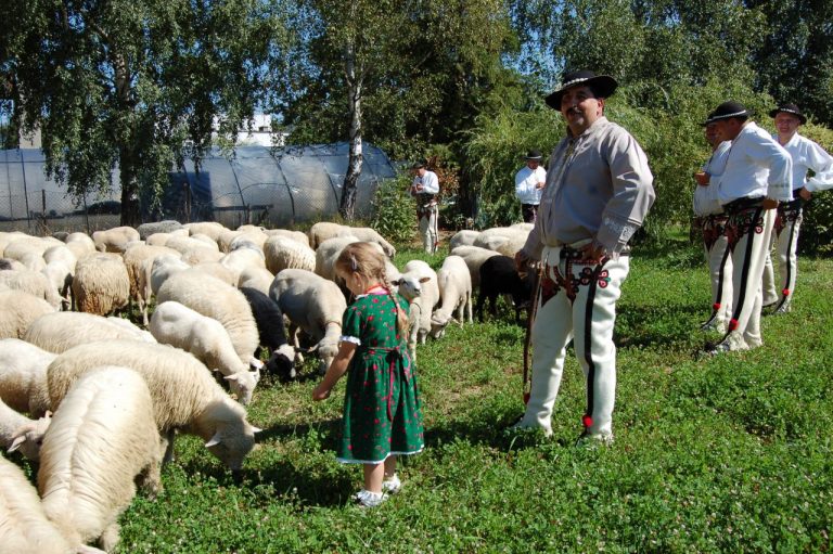 Nawojowa, 7-8 września: promocyjno – handlowa wystawa rolnicza AGROPROMOCJA!