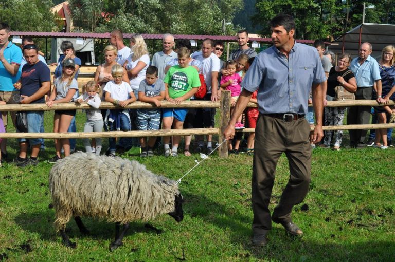 AGROPROMOCJA otwarta! Zajrzyj po świeże produkty i po mnóstwo wrażeń