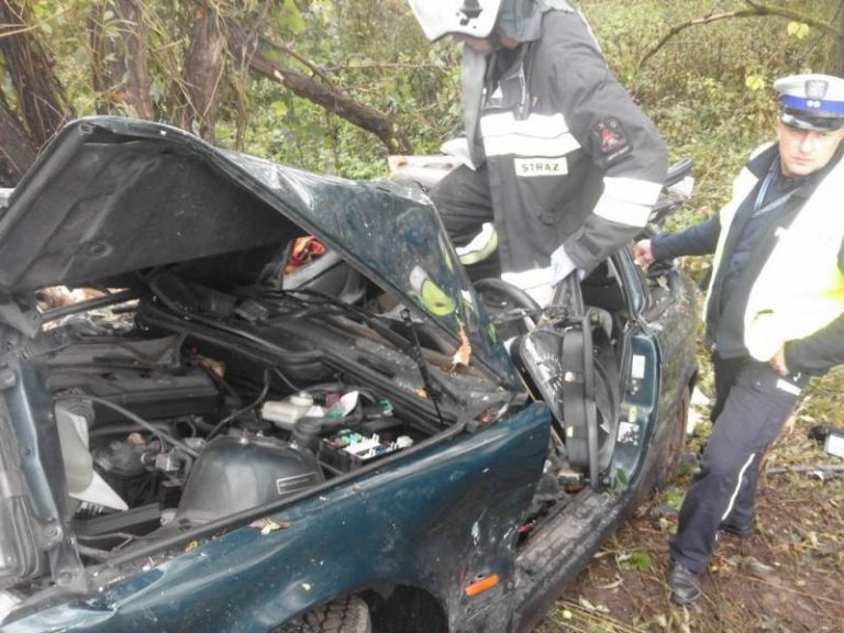 Nowy Sącz, Al. Piłsudskiego: jeden dachował, drugi uderzył w drzewo
