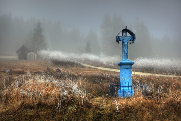 Przygoda z aparatem fotograficznym