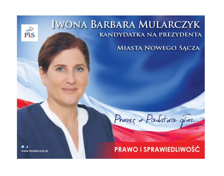 Czyste powietrze – konsultacje z doradcą
