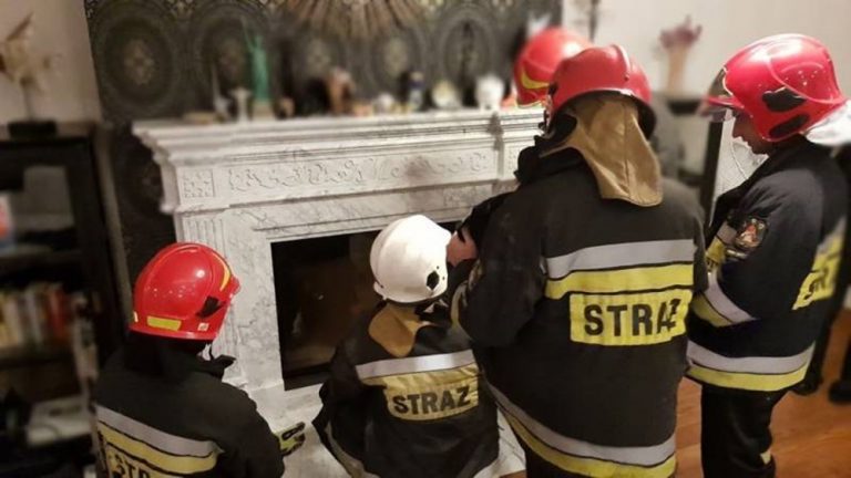 Tego jeszcze nie było! Sowa spoglądała na domowników z… kominka