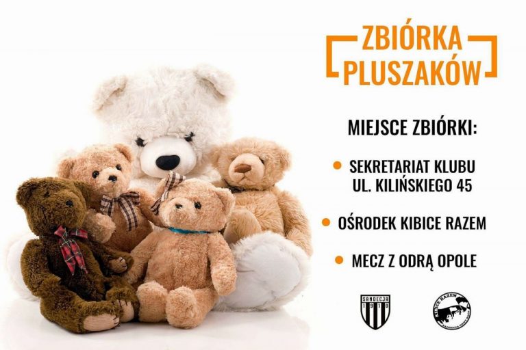 Sandecja zbiera… pluszowe misie. W jakim celu?