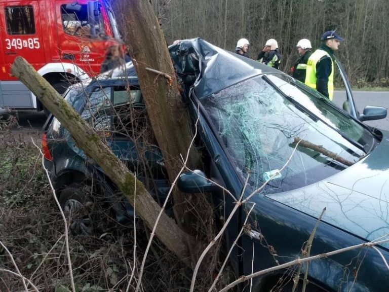 Straciła panowanie nad pojazdem i uderzyła w drzewo
