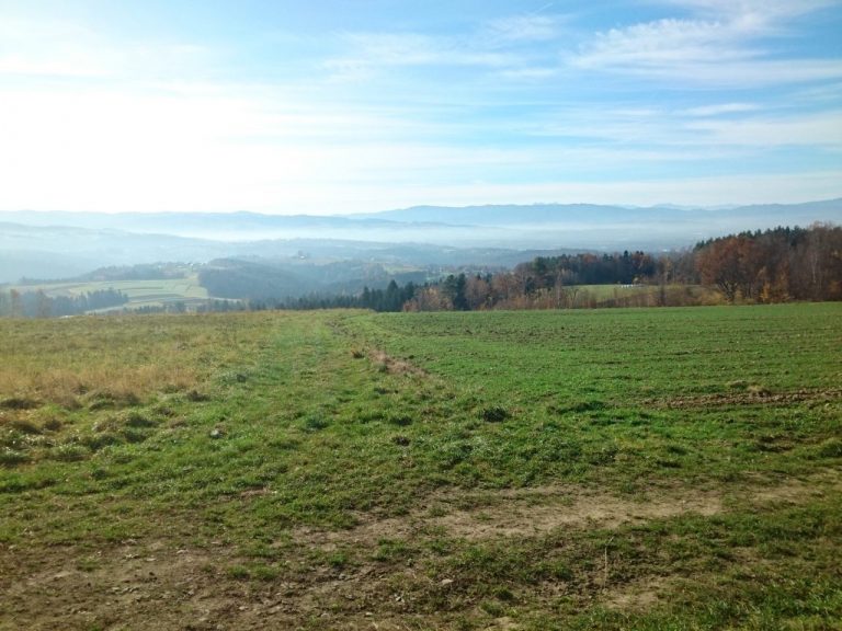 Widokowe serpentyny  (Sądecka Mapa Rowerowa II/I)