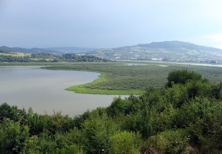 Z Jeziorem Rożnowskim w tle (Sądecka Mapa Rowerowa II/XIV)