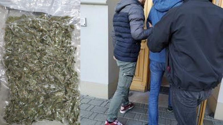 Gorliccy policjanci przejęli narkotyki o wartości kilkudziesięciu tysięcy złotych