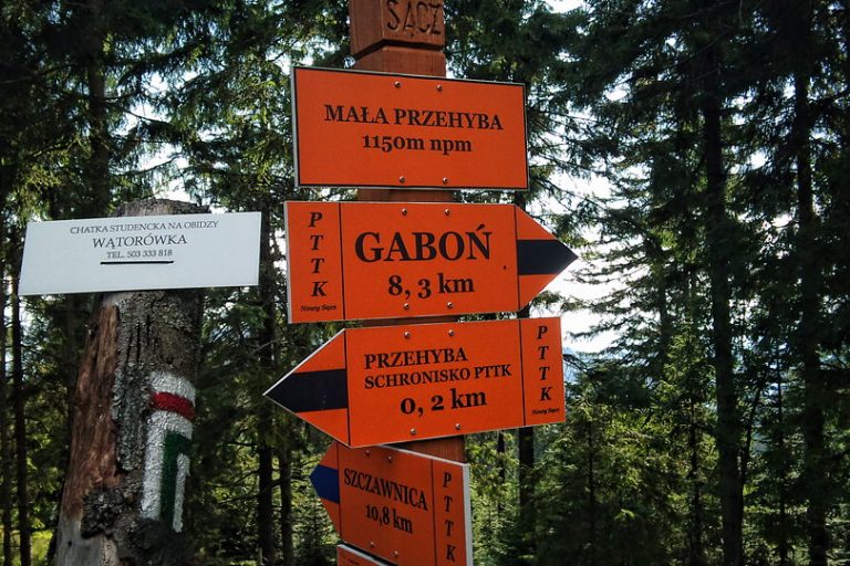 Obowiązkowa wycieczka na Przehybę (Sądecka Mapa Rowerowa II/IX)