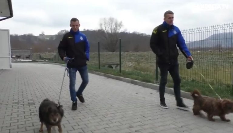 Piłkarze Sandecji z wizytą w schronisku [Wideo]