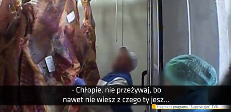 Uwaga! Dwie tony mięsa z padłych i chorych krów w naszym regionie